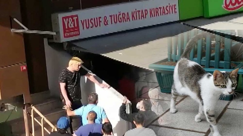 В Турции задержан поедавший котят гражданин Японии