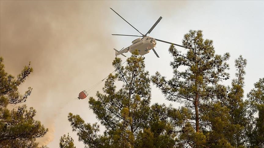 В Турции локализованы 107 очагов лесных пожаров