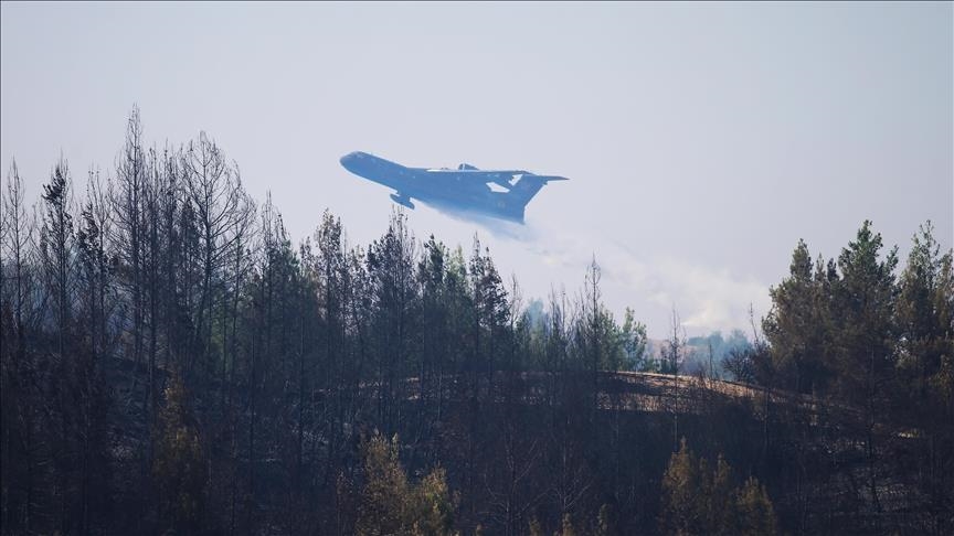 Украинские самолеты сбросили более 270 тонн воды в Турции