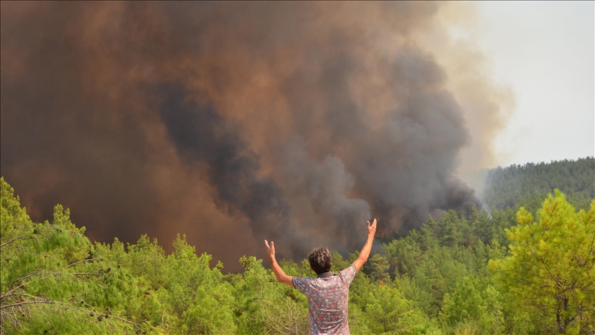 В Турции продолжается тушение лесных пожаров