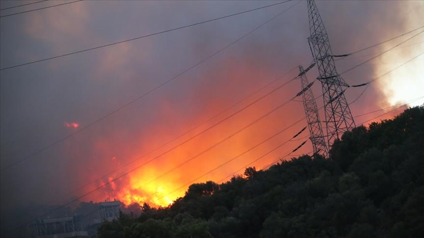 В Турции огонь подошел к ТЭЦ города Кемеркёй