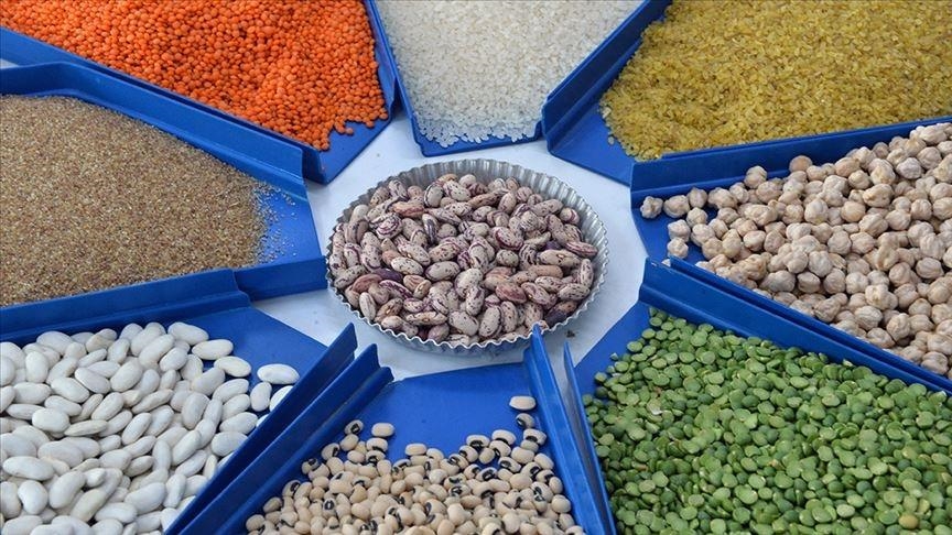 Экспорт зернобобовых и масличных культур из Турции вырос на 17%