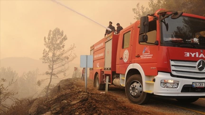 В двух районах Антальи локализованы пожары