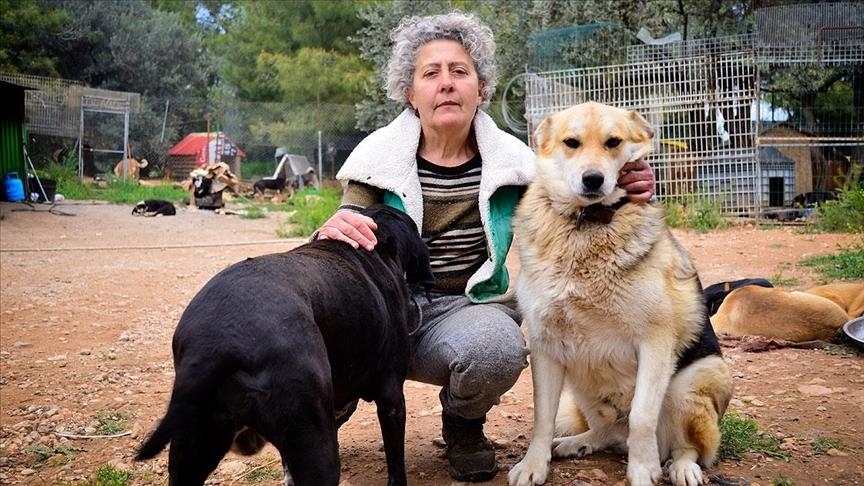 Пианистка из Азербайджана заботится о животных в Турции