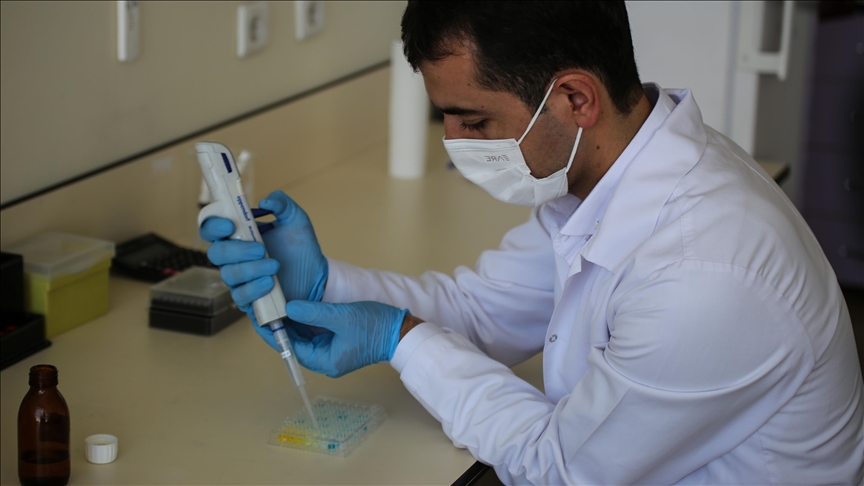 В Турции разработали новый тест на антитела к COVID-19