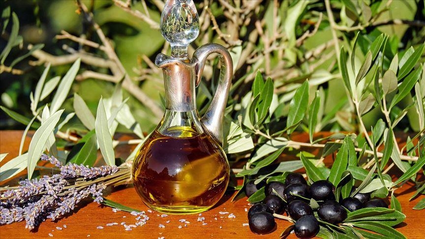 В Турции растет экспорт оливкового масла