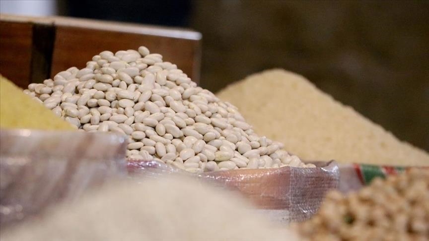 Турция увеличила экспорт зернобобовых и масличных культур