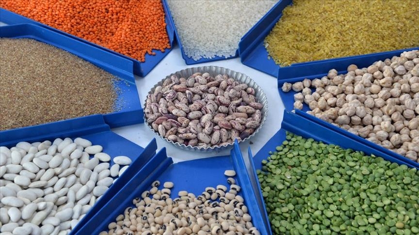 Турция экспортировала зернобобовые и масличные в 213 стран