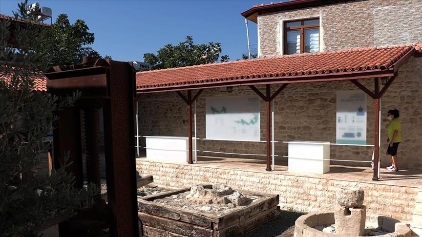 Музей оливок в Турции привлекает туристов