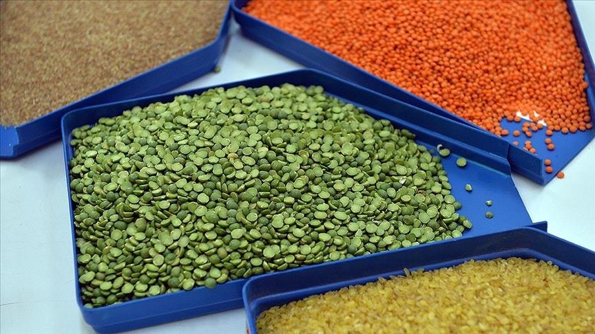Экспорт зернобобовых из Турции превысил $6 млрд