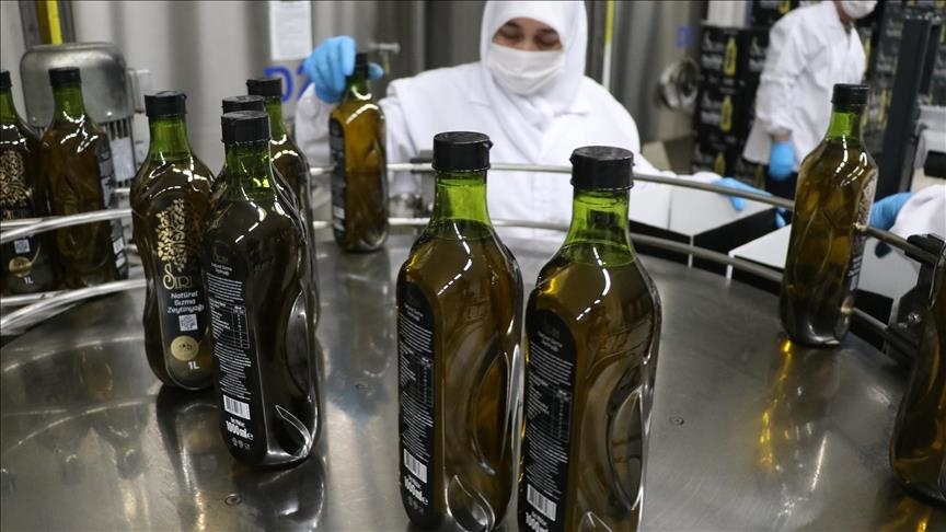 Экспорт турецких оливок и оливкового масла вырос на 21,9%