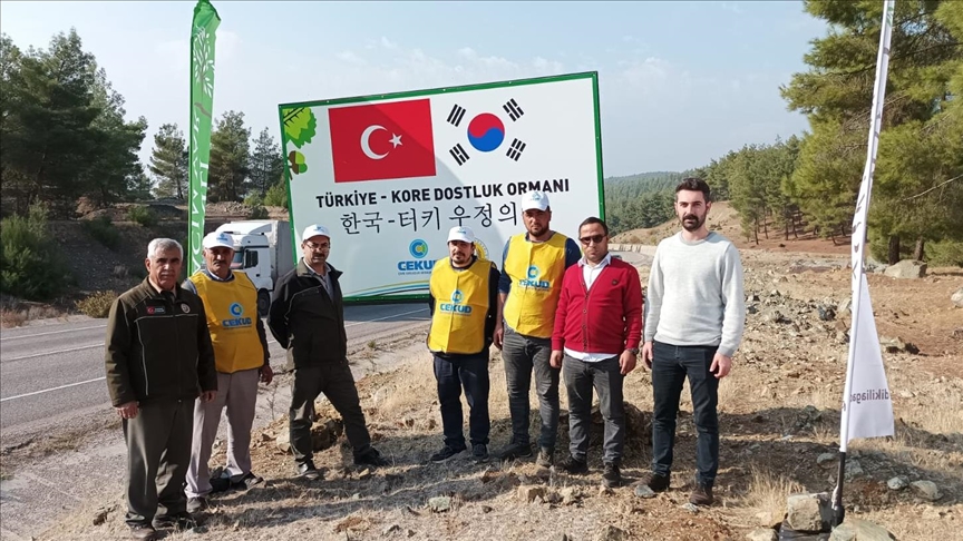В Лесу турецко-корейской дружбы посадили деревья
