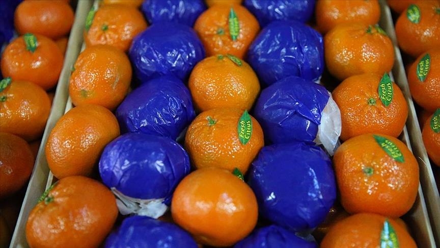 Назван ТОП-5 овощей и фруктов в экспортной корзине Турции 