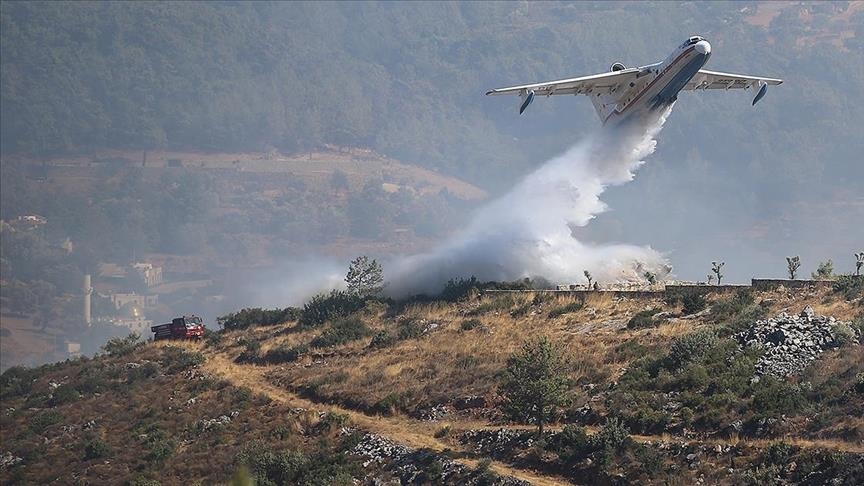 В тушении лесных пожаров в Турции задействуют 20 самолетов