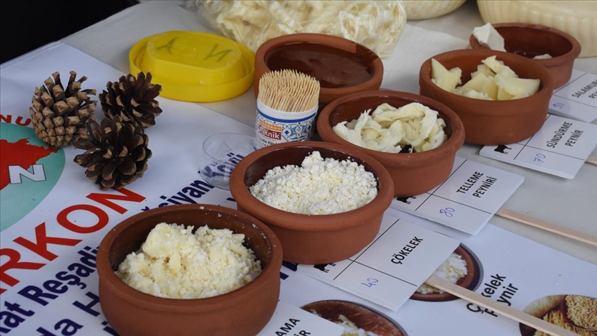 В Бодруме проходит IV Международный фестиваль сыра