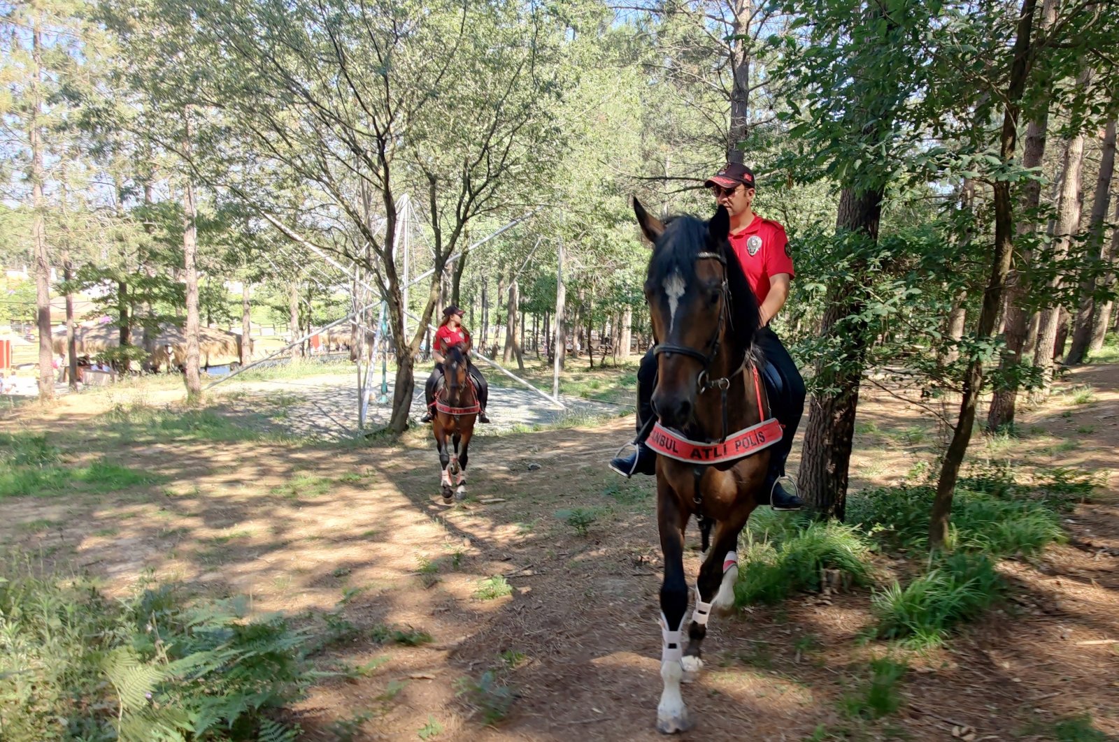 В Стамбуле на месяц ограничит доступ в леса