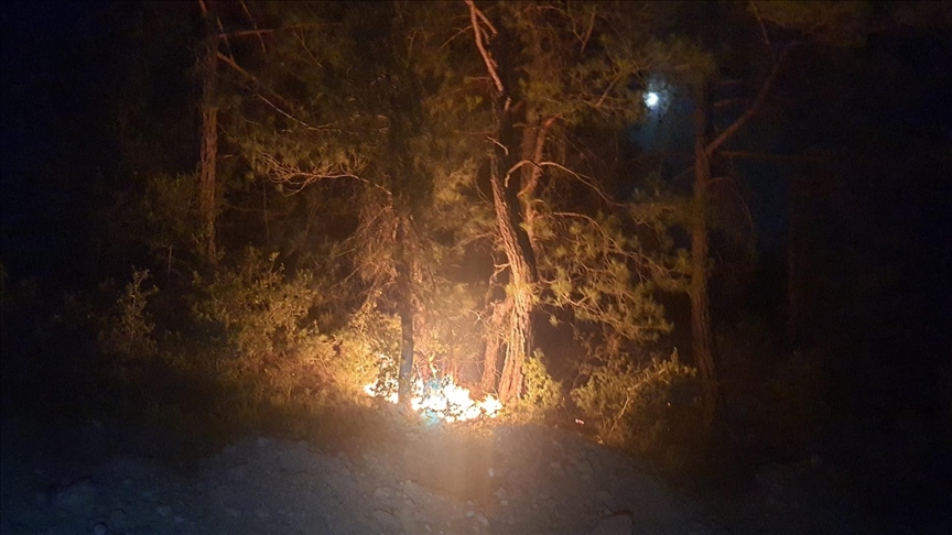 В Адане потушены 6 очагов лесных пожаров