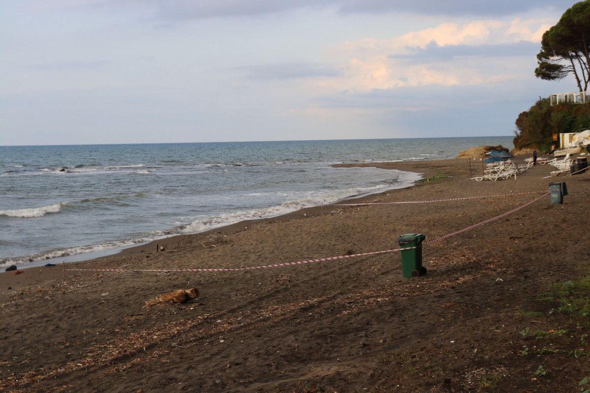 Морская мина обнаружена на пляже в Турции
