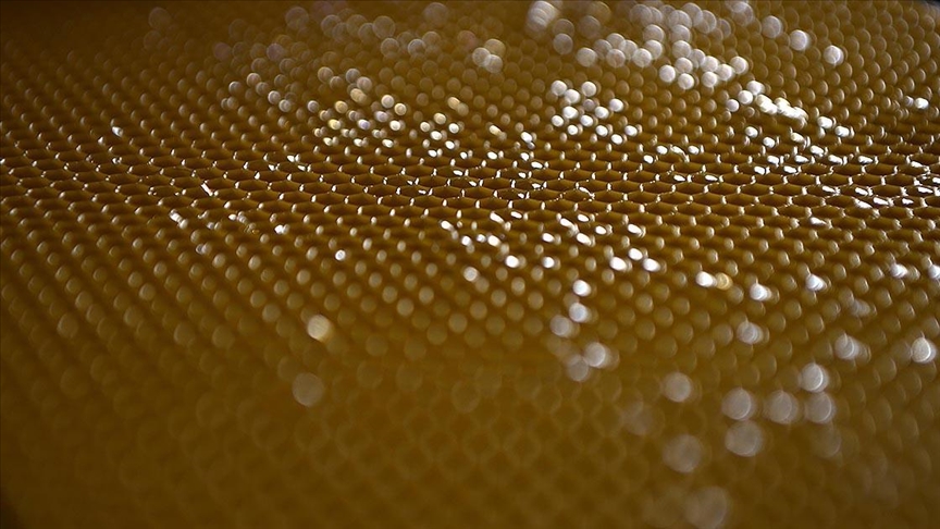 Доходы от экспорта  турецкого мёда превысили 26,2 млн долларов