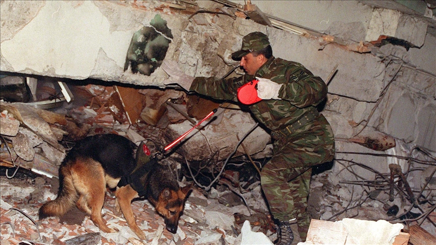 Собаке, спасшей 3-летнюю девочку из-под завалов, поставят памятник в Турции
