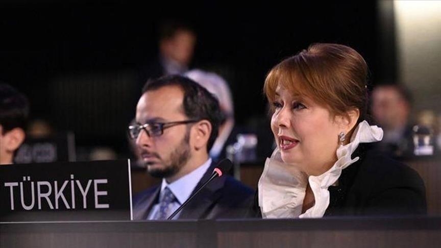 Турция призвала ЮНЕСКО поддержать инициативу «Ноль отходов»