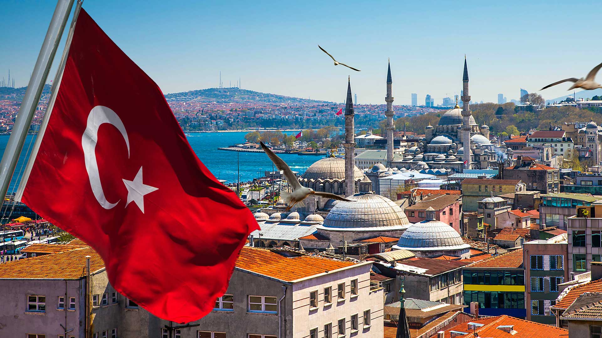 В Турции принят закон о фейках, упрощающий экстрадицию граждан РФ