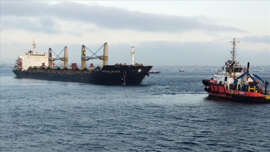 Украинское судно встало на якорь в Стамбуле из-за  неполадок