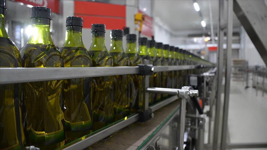 Оливковое масло из Турции продается в 120 странах мира
