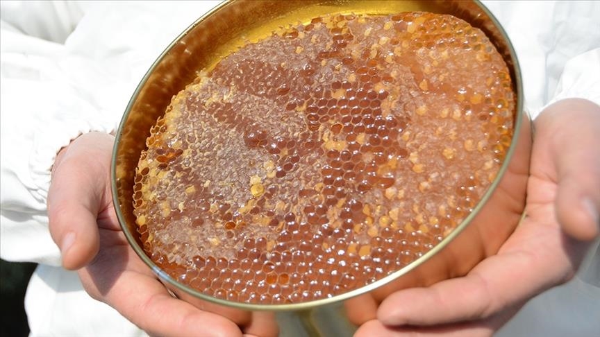 Турция поставила 15 564 тонны мёда на рынки 59 стран мира
