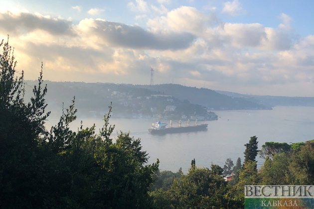 В Турции опровергли проблемы с танкерами у пролива Босфор