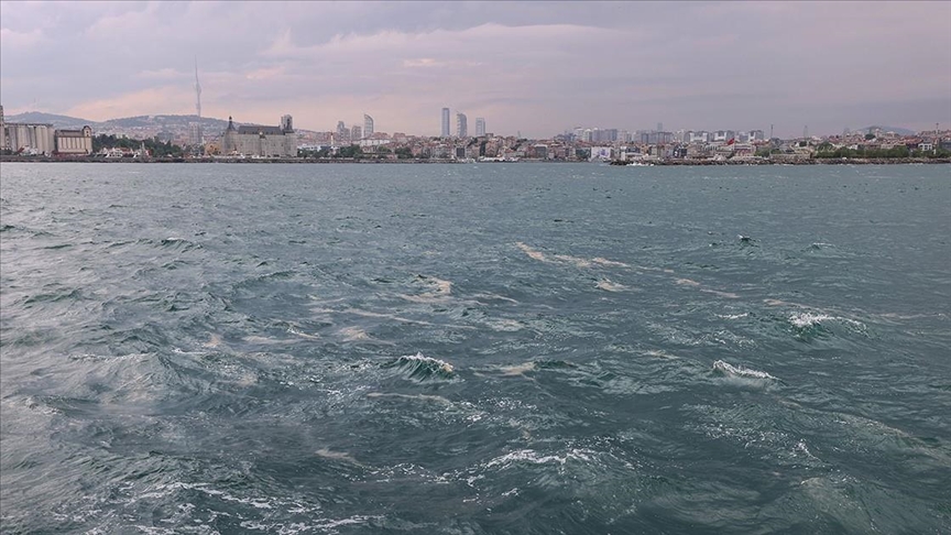 Экологическую ситуацию в Мраморном море начнут отслеживать посредством дронов