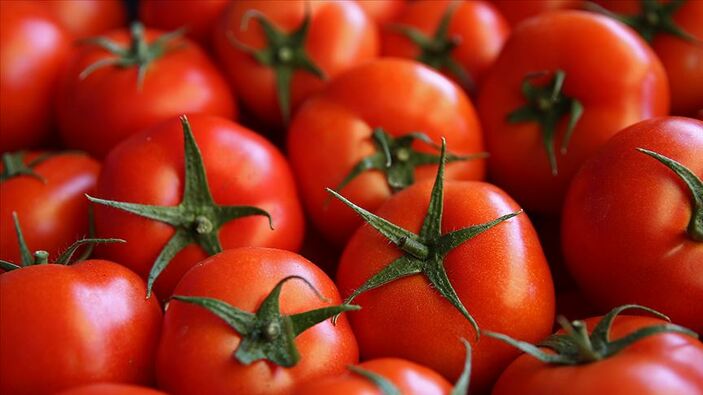 В Турции ввели ограничение на экспорт помидоров 