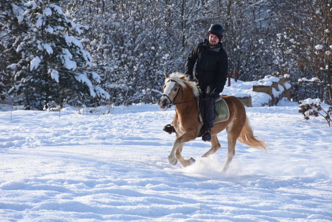 В Турции набирает популярность конный туризм
