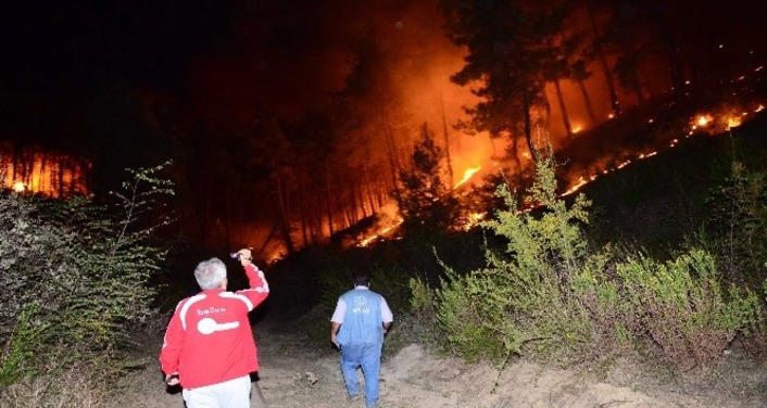 Пять очагов лесных пожаров зафиксировано минувшей ночью в турецком Манавгате
