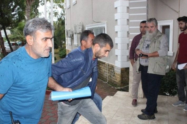В Турции, в Кемере за выращивание конопли задержан гражданин Украины