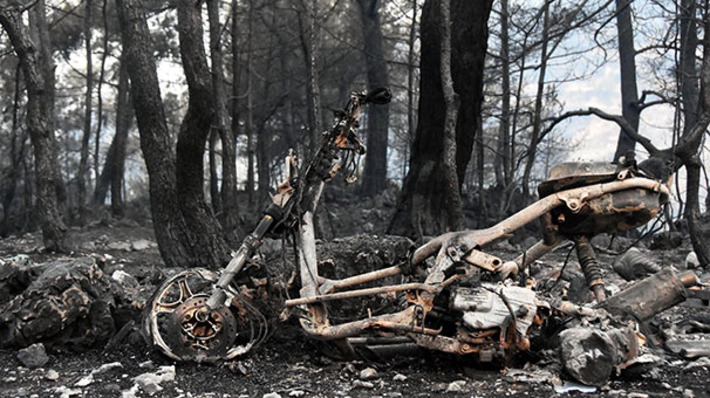 Лесной пожар в Мугле уничтожил 50 домов
