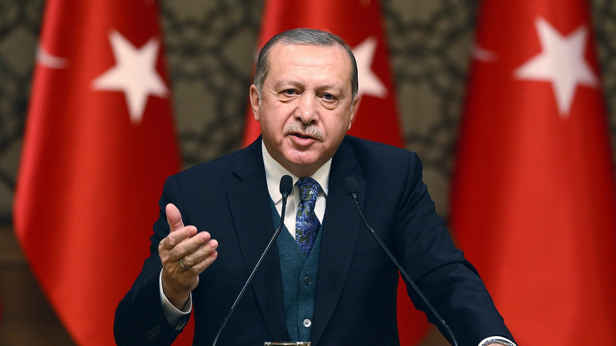 Эрдоган: Турция не уйдет из Сирии до выборов