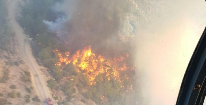 Лесной пожар в Мугле повредил 9 гектаров земли и леса