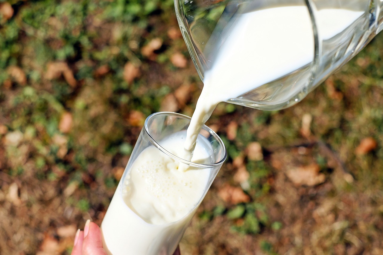 Свежее деревенское молоко от проверенного фермера в Анталии