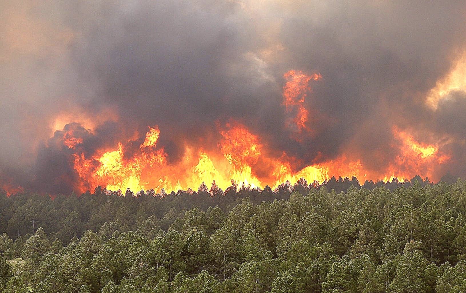  На северо-западе Турции произошел лесной пожар