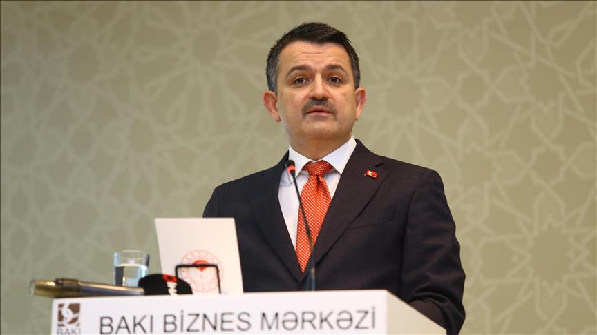 Товарооборот между Турцией и Азербайджаном составил 1. 7 млрд. долларов