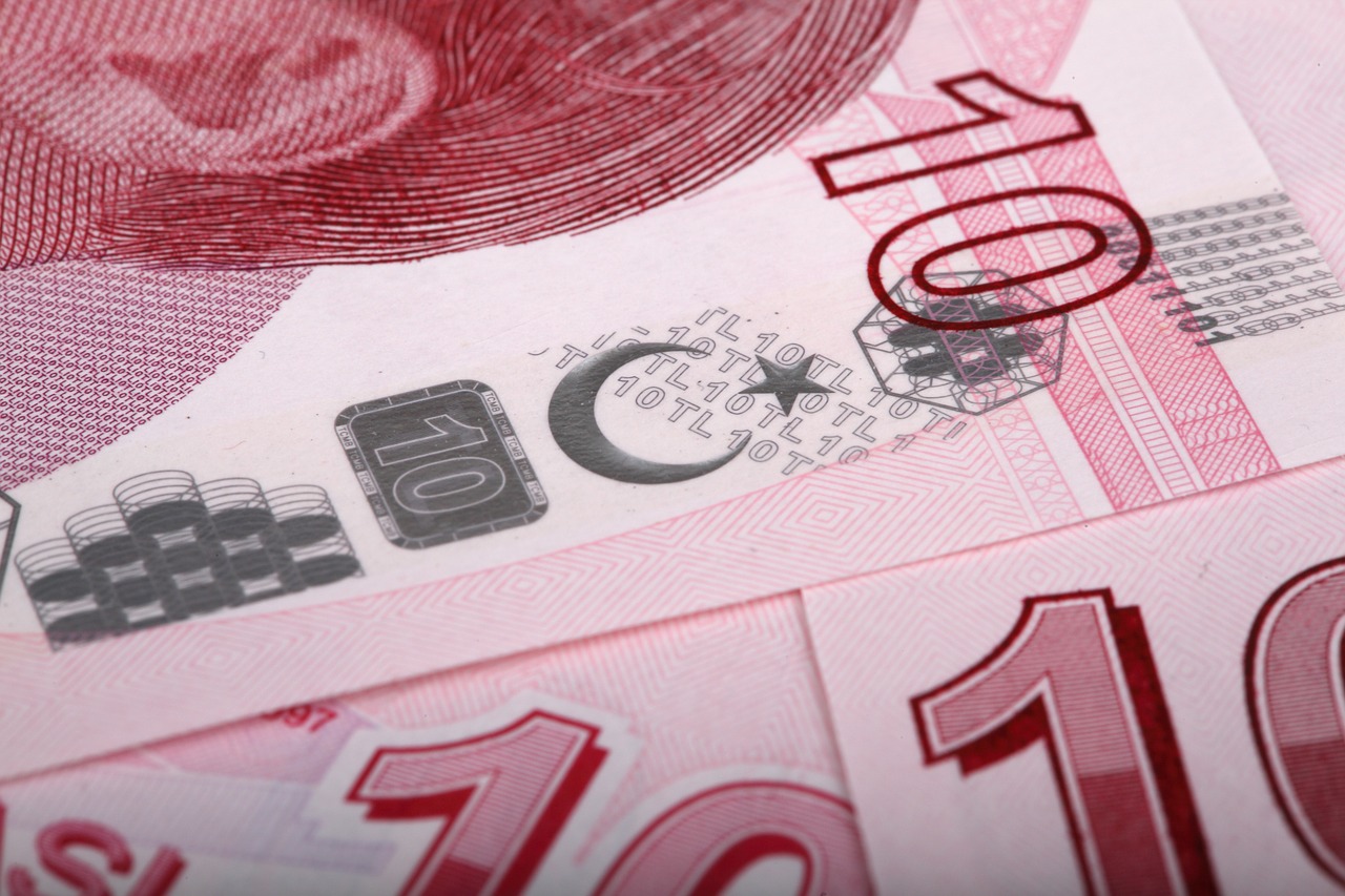     О планируемых изменениях и поправках в закон о защите турецкой валюты  