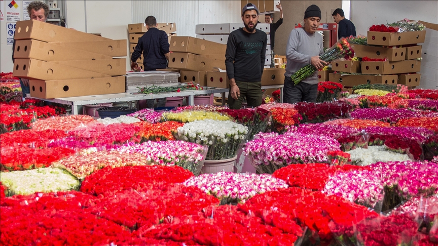 Турецкие цветы подарят на 8 марта женщинам 20 стран мира