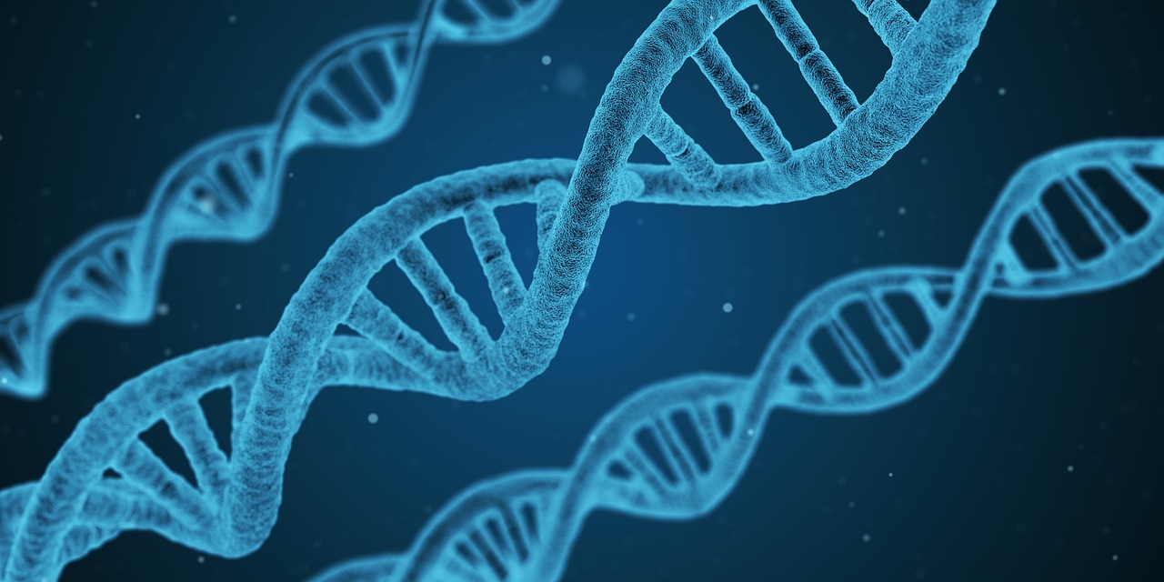 Тест ДНК  на этническое происхождение и родословную