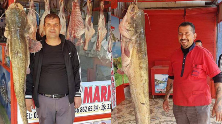Рыболов-любитель из Кахраманмараша поймал сома весом 45 кг (видео)