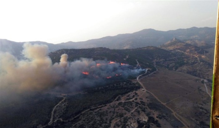 Новый лесной пожар в Измире