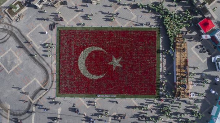 Турецкий флаг из тюльпанов попал в Книгу рекордов