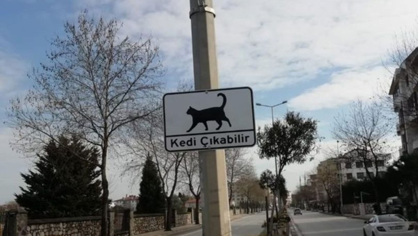 В Турции появился дорожный знак «Осторожно, коты»