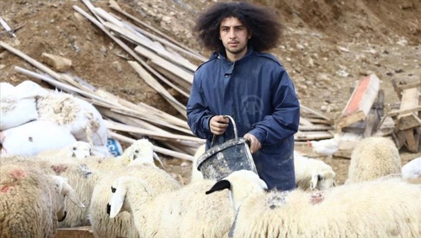 В Турции выпускник финансового колледжа стал пастухом