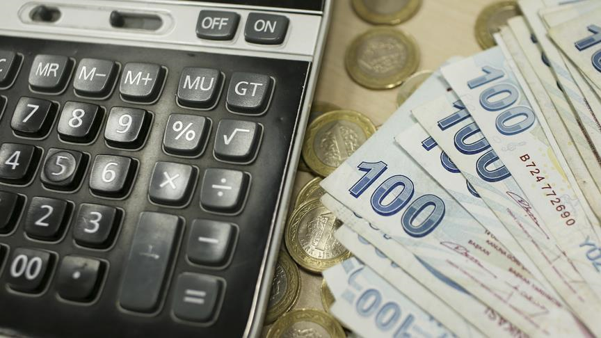 В Турции сохранится плавающий валютный курс